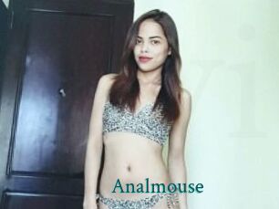 Anal_mouse