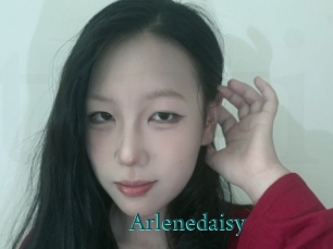 Arlenedaisy