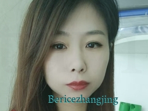 Bericezhangjing