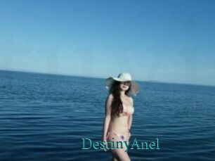 DestinyAnel