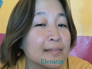 Elenatin
