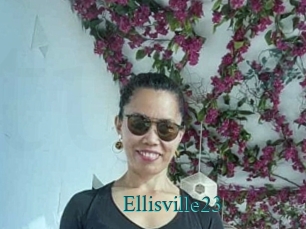 Ellisville23
