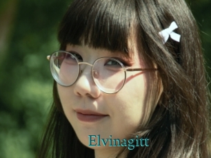 Elvinagitt