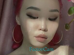 FactorCam