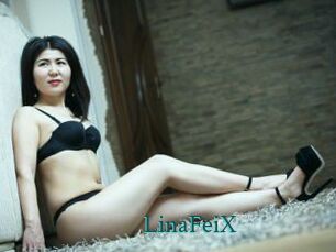 LinaFeiX