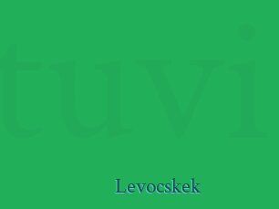 levocskek Tube video asiatique
