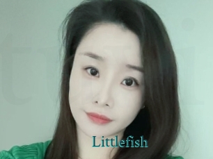 littlefish Tube video asiatique
