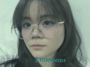 Littleseems