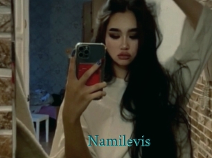 Namilevis