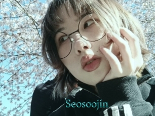 Seosoojin