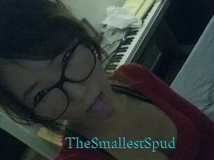 TheSmallestSpud Tube video asiatique
