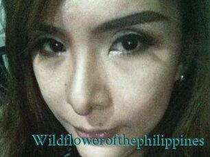 Wildflowerofthephilippines