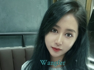 wangfer Tube video asiatique