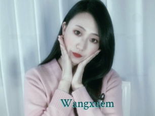 wangxuem Tube video asiatique