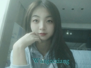 Wangzcxiang