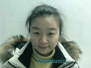 Xiaoniuniu